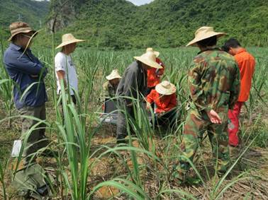 土壤采样野外现场技术培训 土壤采样野外现场技术培训